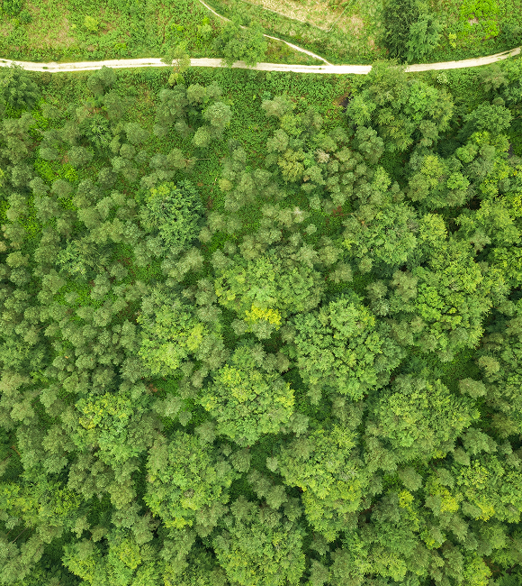 Sustainable Future