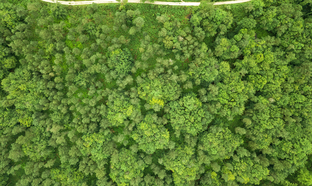 Sustainable Future